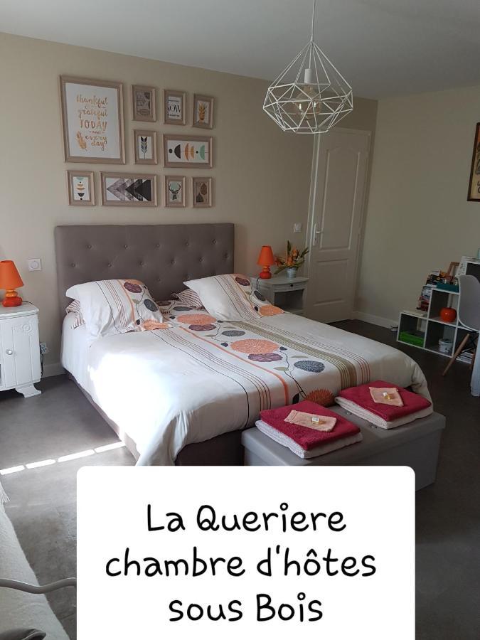 Chambres D'Hotes La Queriere Mur-de-Sologne Exterior photo